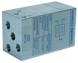 Picture of two hand safety valve Picture of two hand safety valve